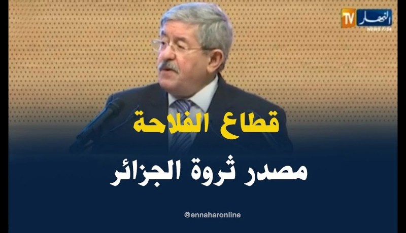 أويحيى/ “قطاع الفلاحة هو ثاني قطاع في الجزائر خالق لثروة البلاد”