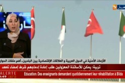 تركيا..رفع الإستثمارات بالجزائر من 7 ملاييرإلى 10 مليار دولار!