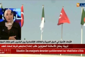 تركيا..رفع الإستثمارات بالجزائر من 7 ملاييرإلى 10 مليار دولار!