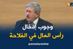 أويحيى/ “عصرنة القطاع الفلاحي يستوجب دخول رأس المال في النشاط الفلاحي”