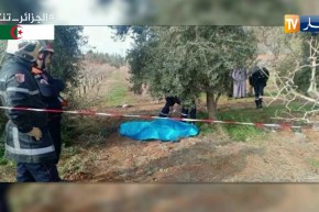 عين الدفلى: وفاة شخص في حادث تكهرب بمنطقة التوتات لبلدية عريب