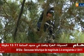 حماية مدنية: إنقاذ قطة معلقة بإحدى الأشجار.. عندما تتحدث الإنسانية