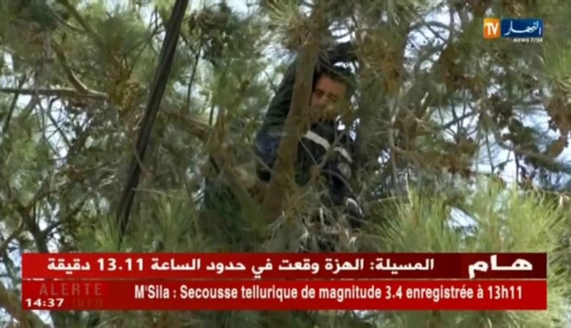 حماية مدنية: إنقاذ قطة معلقة بإحدى الأشجار.. عندما تتحدث الإنسانية