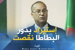 وزير الفلاحة :”عمليات إستيراد بذور البطاطا إنخفضت بنسبة 50 % !! “