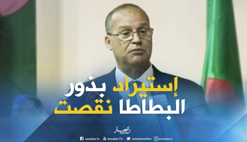 وزير الفلاحة :”عمليات إستيراد بذور البطاطا إنخفضت بنسبة 50 % !! “