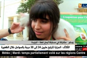 البليدة: القطط تتنافس على اللقب في مسابقة أجمل قطة