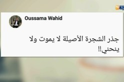 قهوة وجرنان: هوما يغردو وأحنا نردو