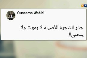 قهوة وجرنان: هوما يغردو وأحنا نردو