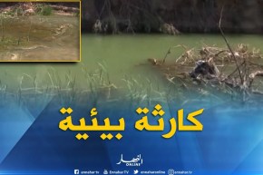 المسيلة: كارثة بيئية تهدد قاطني منطقة بوخميسة بسبب تلوث المياه