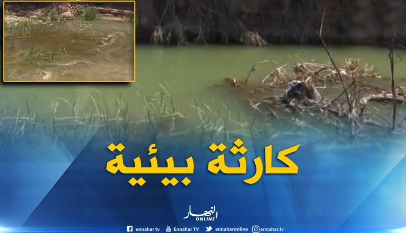 المسيلة: كارثة بيئية تهدد قاطني منطقة بوخميسة بسبب تلوث المياه