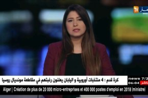 دومينيك دوفيلبان يبدي تحفظه بخصوص التدخلات العسكرية التي لا يرافقها عمل سياسي في ليبيا