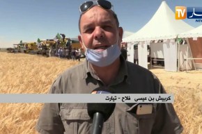 تيارت: فلاحون يطالبون بمنحهم تراخيص أخرى لمتابعة حملة الحصاد بالحجر الصحي