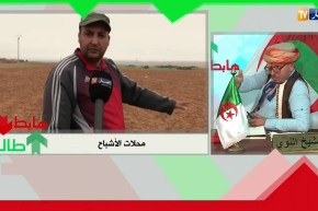 طالع هابط: جريمة في حق الثروة الزراعية  أرض فلاحية حبو يستغلوها للبناء الرفي