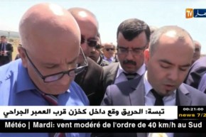 الطارف: المدير العام للشركة الجزائرية للطاقة في زيارة عمل وتفقد للولاية