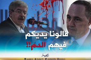 شوف واش قالوا وزراء عرب لوزير جزائري..”أنتوما يديكم ملطخين بالدماء”