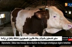 النشرة الأمازيغية ليوم 23 جويلية 2018