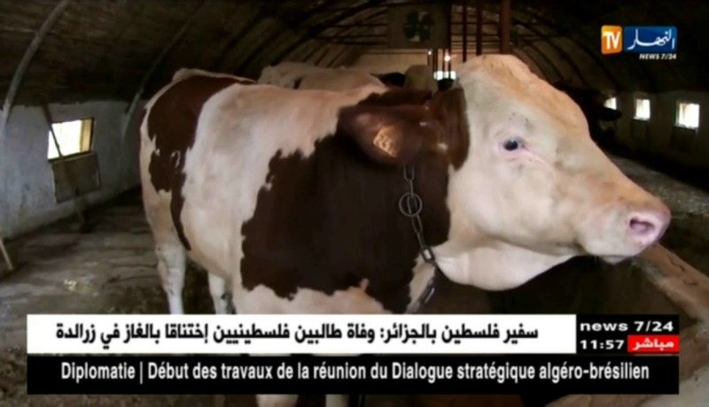 النشرة الأمازيغية ليوم 23 جويلية 2018