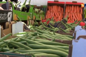 الصندوق الوطني للتعاون الفلاحي يحقق أزيد من 15 مليار دينار رقم أعماله خلال 2019