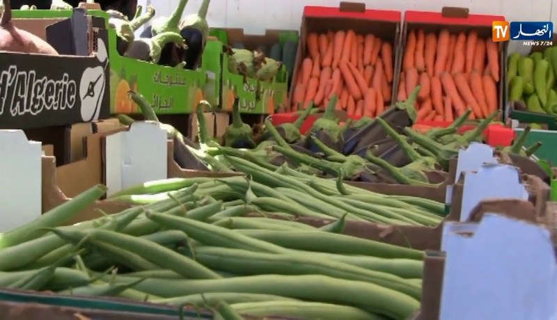 الصندوق الوطني للتعاون الفلاحي يحقق أزيد من 15 مليار دينار رقم أعماله خلال 2019