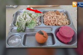 تعليم عالي: تدني خدمات الإطعام.. محلات الأكل السريع ملاذ الطلبة الوحيد