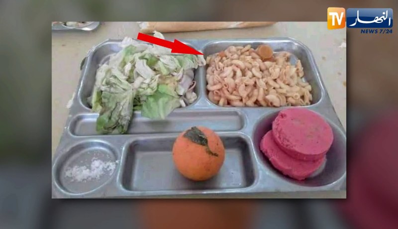 تعليم عالي: تدني خدمات الإطعام.. محلات الأكل السريع ملاذ الطلبة الوحيد