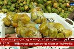 طاولات “الهندي” تشدّ رحالها إلى العاصمة