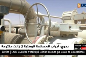 بدوي رفقة قيطوني يدشنون عدة مشاريع تنموية بإين أميناس..!