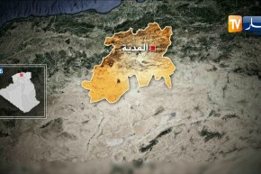 المدية: مصالح الدرك الوطني تحجز شاحنة محملة ب 18 قنطار من أرجل الدجاج الفاسد