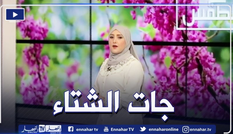 استثمار: تحيين المنظومة البنكية ومنح تسهيلات جمركية..   مطالب المستثمرين