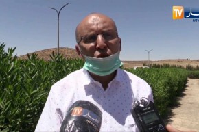 معسكر: إنجاز 60 مشروعا لفتح المسالك الريفية بالدواوير