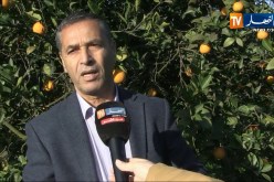 طقس/ أمطار شهر جانفي ترهن نجاح الموسم الفلاحي