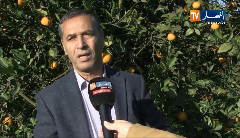 طقس/ أمطار شهر جانفي ترهن نجاح الموسم الفلاحي