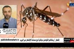 صحة: مختصون..الأعشاب والزيوت العطرية تقي من لسعات بعوض النمر
