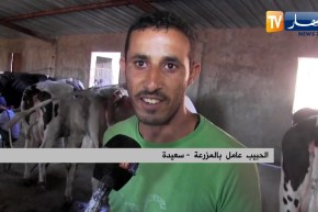 سعيدة: عبد العزيز..  شاب طموح يقتحم عالم الفلاحة