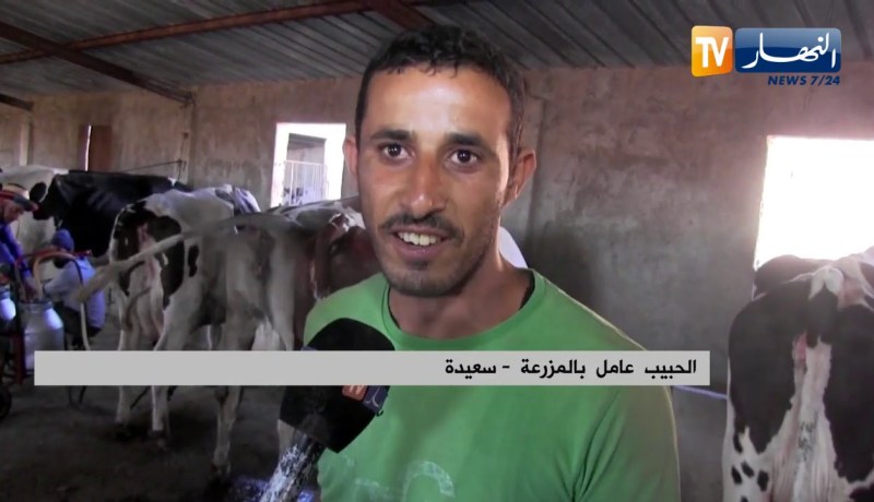 سعيدة: عبد العزيز..  شاب طموح يقتحم عالم الفلاحة