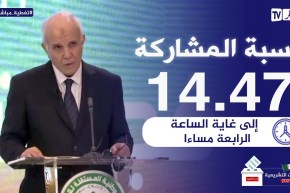 محمد شرفي: نسبة التصويت بلغت 41,47 % على الساعة 16:00