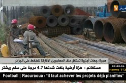 هجرة : جهات أجنبية تستغل ملف المهاجرين الأفارقة للضغط على الجزائر