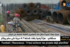 هجرة : جهات أجنبية تستغل ملف المهاجرين الأفارقة للضغط على الجزائر