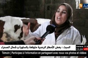 تيزي وزو/ تصرفات خاطئة لبعض المربين تساهم في إنتشار داء الحمى القلاعية