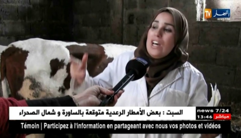 تيزي وزو/ تصرفات خاطئة لبعض المربين تساهم في إنتشار داء الحمى القلاعية