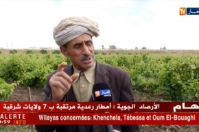 فلاحة: الحشرات والأمراض تهدد أشجار العنب بسبب الأمطار الأخيرة