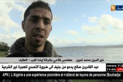 الطارف/ ثروة سمكية هائلة مهددة بالزوال لإختلال النظام البيئي