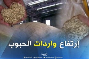 فلاحة/ فاتورة واردات الحبوب ترتفع…والقمح الروسي يتجاوب مع دفتر الشروط