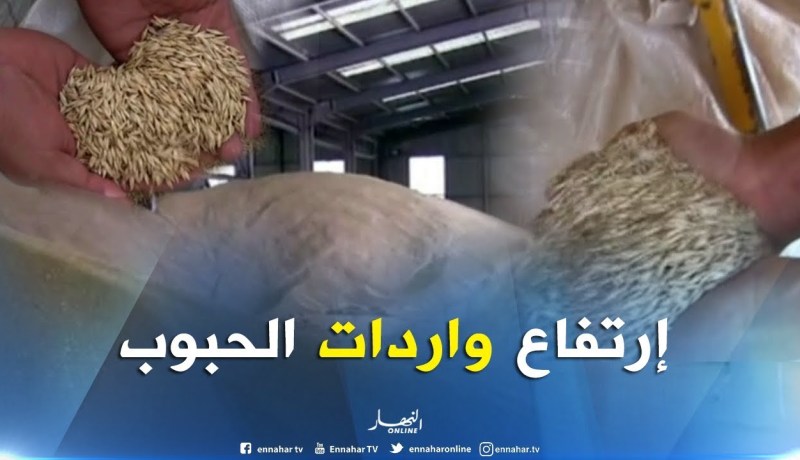 فلاحة/ فاتورة واردات الحبوب ترتفع…والقمح الروسي يتجاوب مع دفتر الشروط