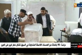 مصر/ النتائج الأولية تظهر تقدما ساحقا للسيسي بإنتخابات الرئاسة بنسبة 90 بالمائة