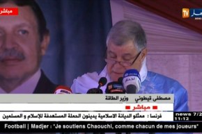 قيطوني: مشروعا سكيكدة وأرزيو عزّزا القدرات الإجمالية لتمييع الغاز
