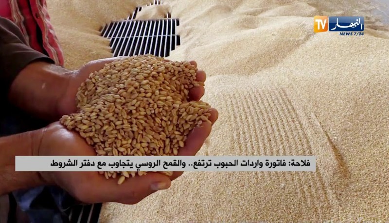 فلاحة: فاتورة واردات الحبوب ترتفع.. والقمح الروسي يتجاوب مع دفتر الشروط