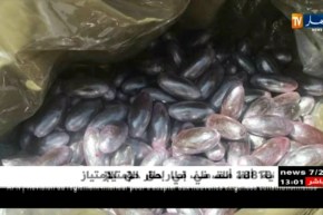 تلمسان:حراس الحدود  يحبطون محاولة إدخال كمية ضخمة من الكيف المعالج