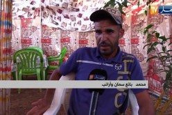 بيع الأرانب والسمان .. إنتظار لساعات طويلة مقابل مداخيل قليلة