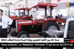 796 مؤسسة تركية تنشط في الجزائر وتشغل أزيد من 28 ألف عامل